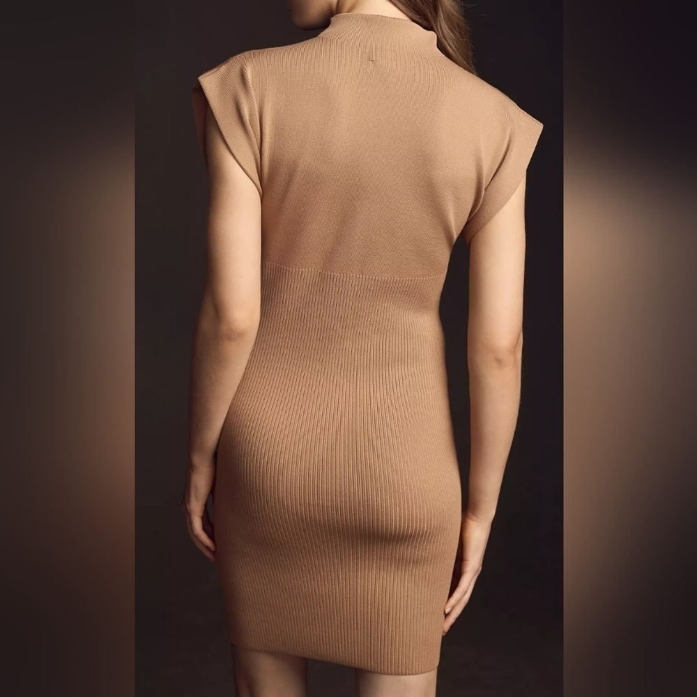 Anthropologie Mock Neck Cap Sleeve Mini Dress Cedar XL - Picture 10 of 16